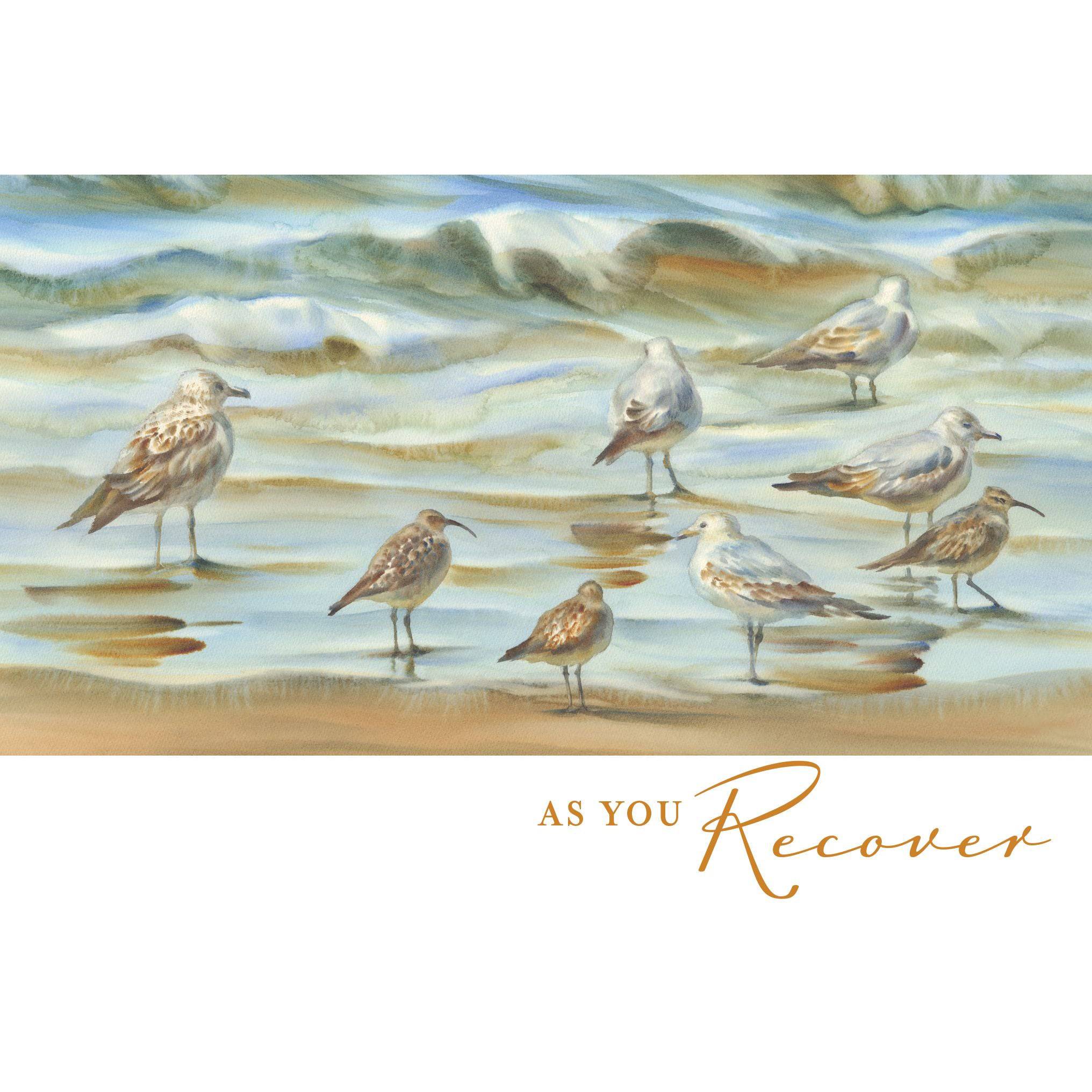 Pictura Seagulls and Sandpipers Get Well Card featuring coastal birds, designed for sending recovery wishes in everyday greeting cards.